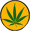 Coalition Against Marijuana Prohibition